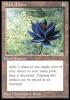 Black Lotus